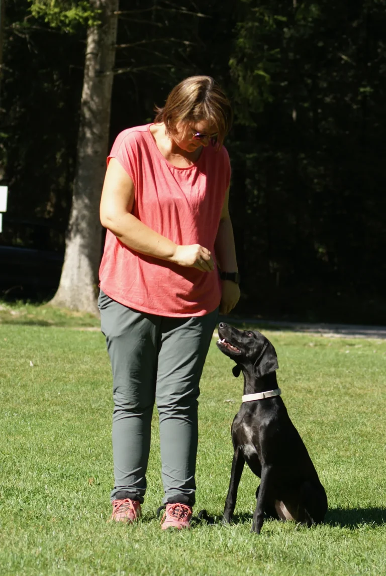 Frauchen und Hund im Begleithundekurs