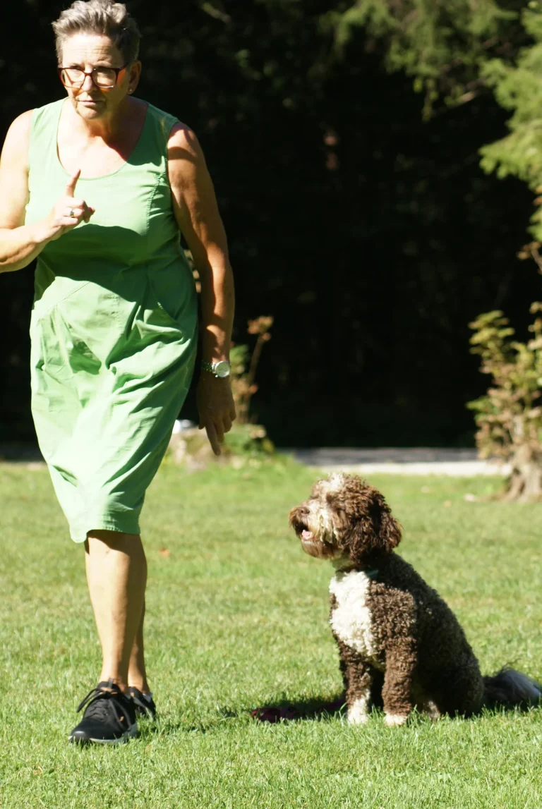 Frauchen und Hund im Begleithundekurs