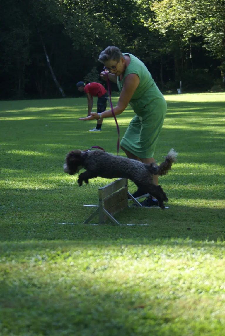 Springender Hund im Begleithundekurs