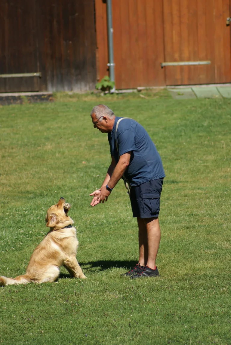 Hund und Herrchen im Begleithundekurs