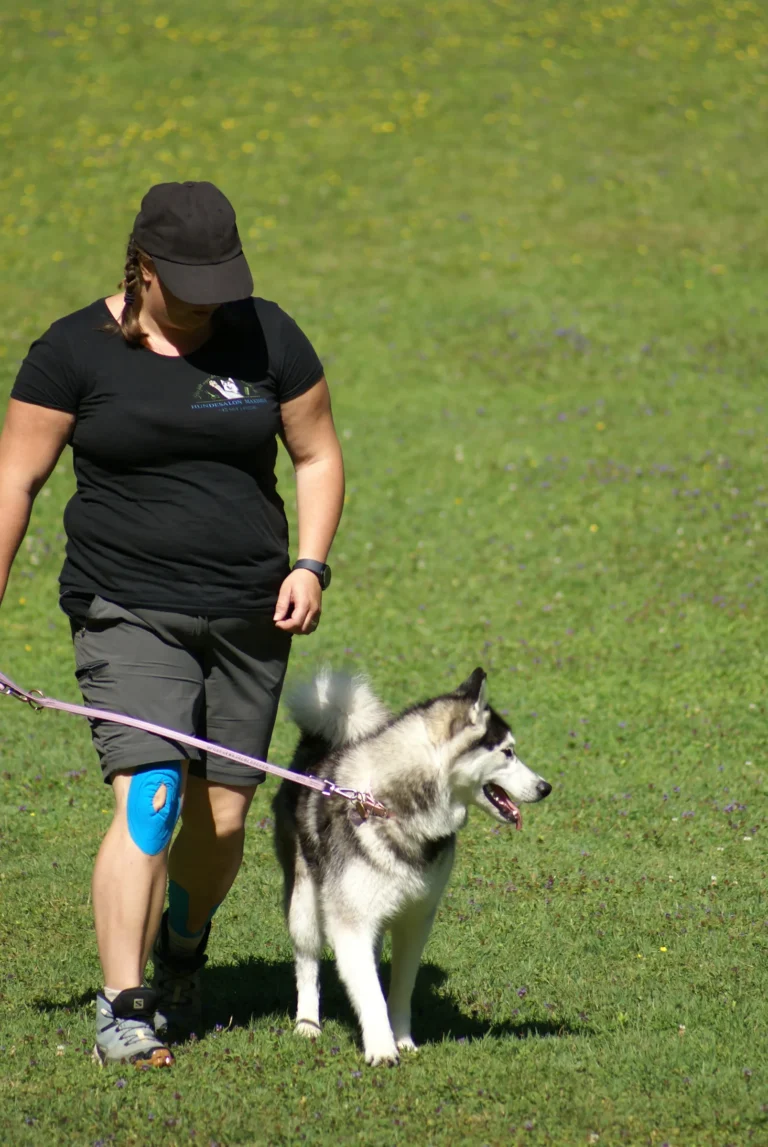 Hund im Fuß bei Begleithundekurs