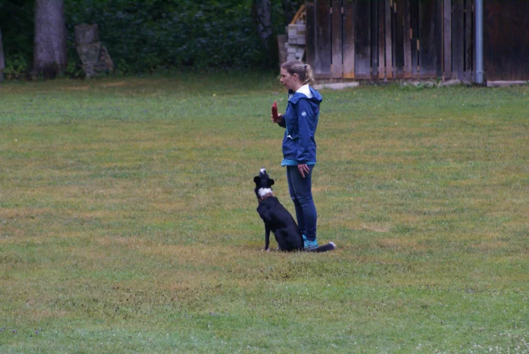 Frauchen und Hund im Begleithundekurs