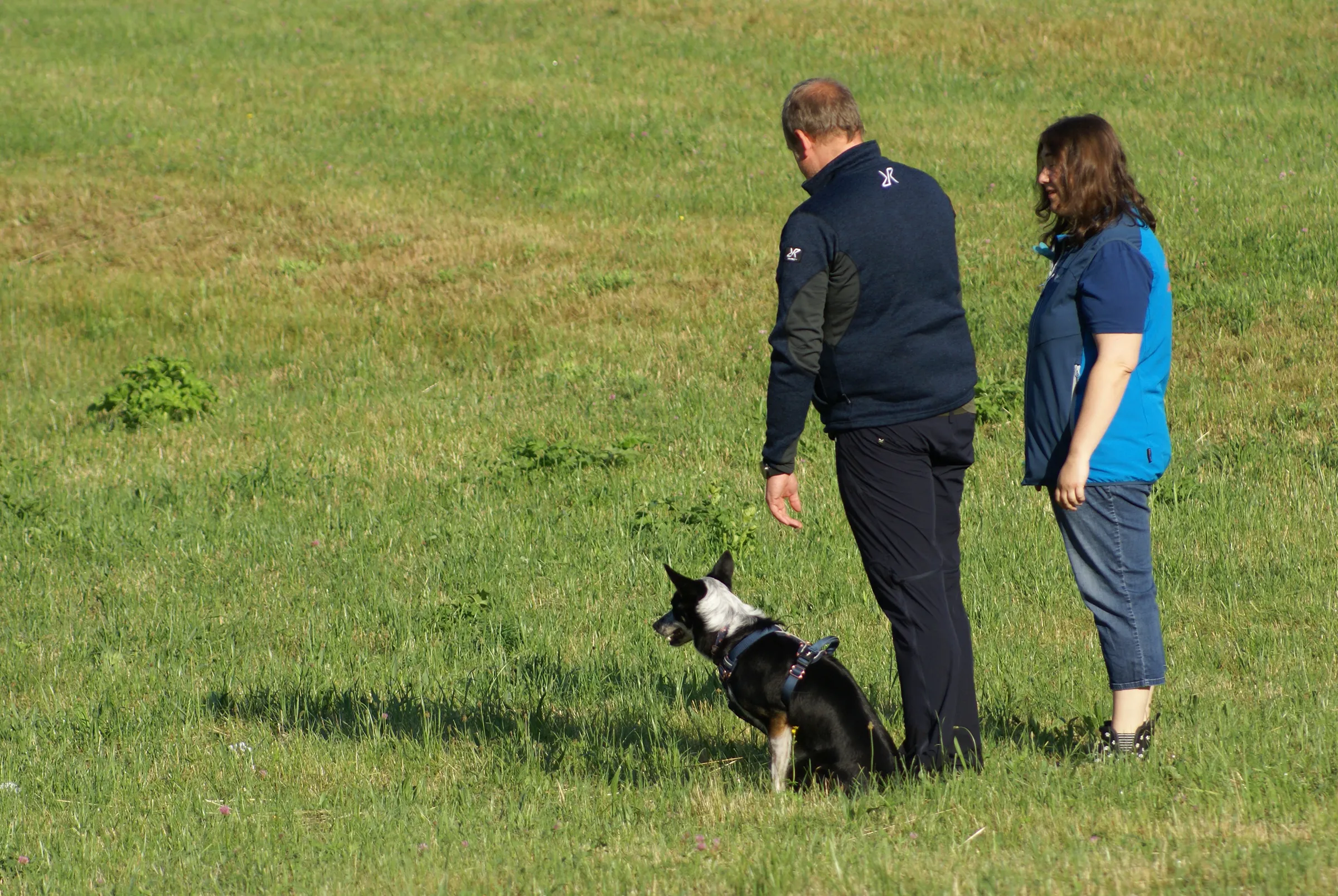 Fährtenarbeit mit Hund